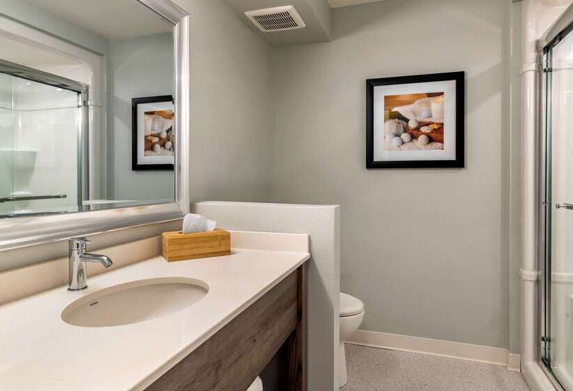 ホテル Quality Inn & Suites Amsterdam