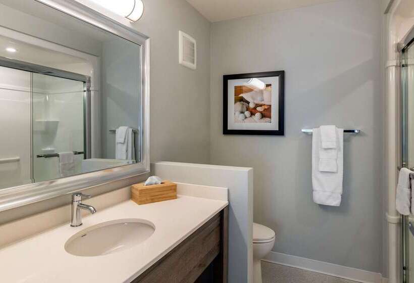 ホテル Quality Inn & Suites Amsterdam