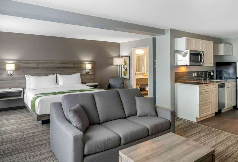 ホテル Quality Inn & Suites Amsterdam