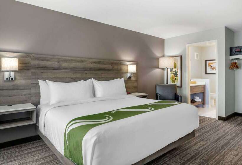 ホテル Quality Inn & Suites Amsterdam