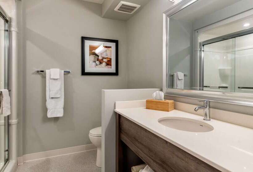 ホテル Quality Inn & Suites Amsterdam