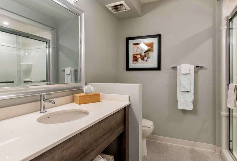 هتل Quality Inn & Suites Amsterdam