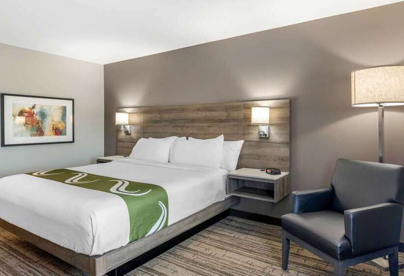 ホテル Quality Inn & Suites Amsterdam