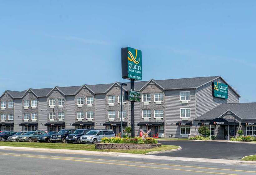 ホテル Quality Inn & Suites Amsterdam