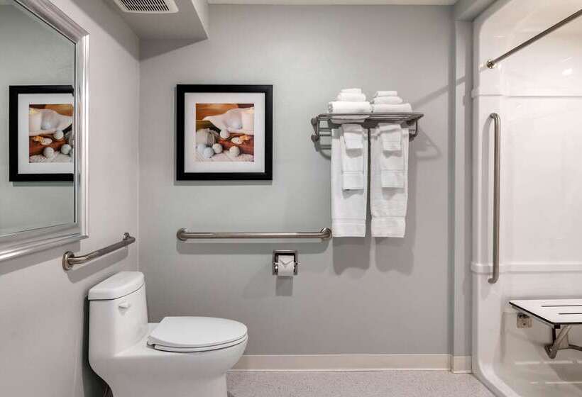هتل Quality Inn & Suites Amsterdam