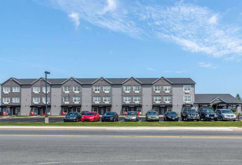 ホテル Quality Inn & Suites Amsterdam