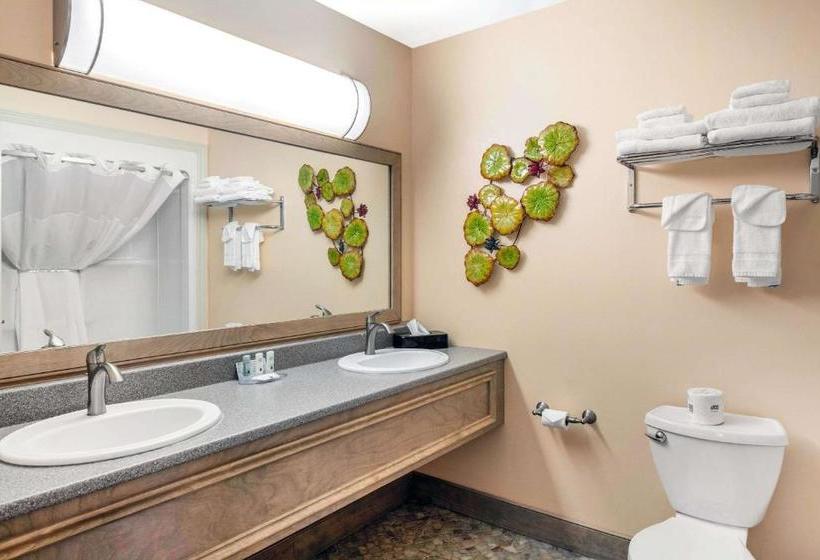 ホテル Quality Inn & Suites