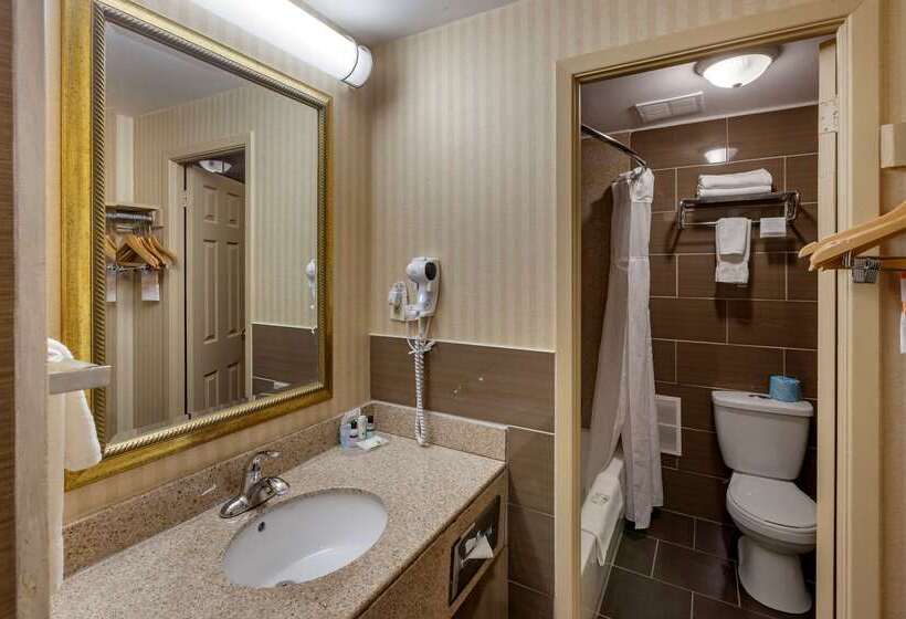 酒店 Quality Inn Toronto Airport