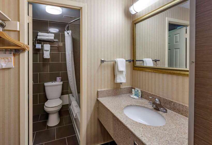 酒店 Quality Inn Toronto Airport
