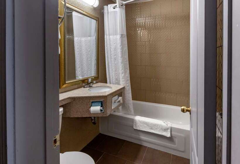 酒店 Quality Inn Toronto Airport