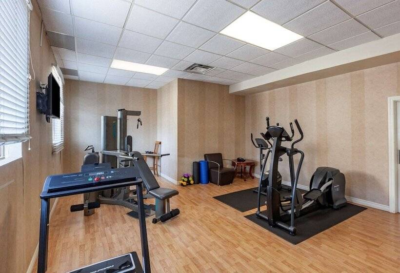 酒店 Quality Inn Toronto Airport