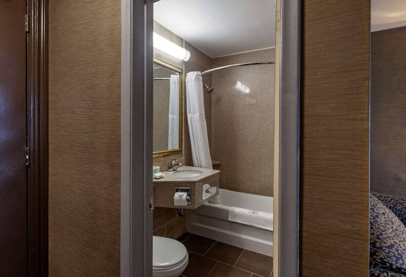 酒店 Quality Inn Toronto Airport