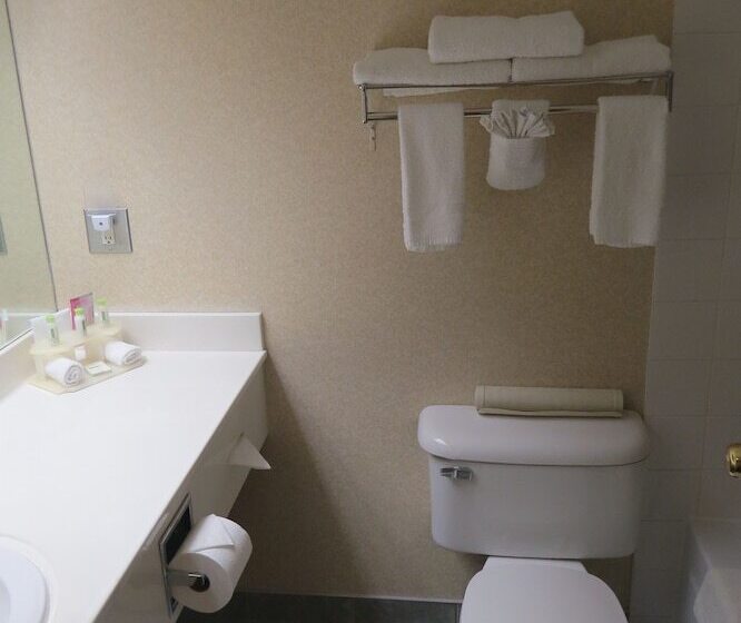 فندق Rocky Inn Express