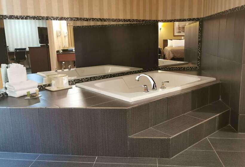 هتل Rodeway Inn & Suites