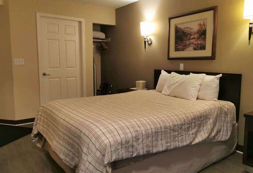 酒店 Rodeway Inn & Suites