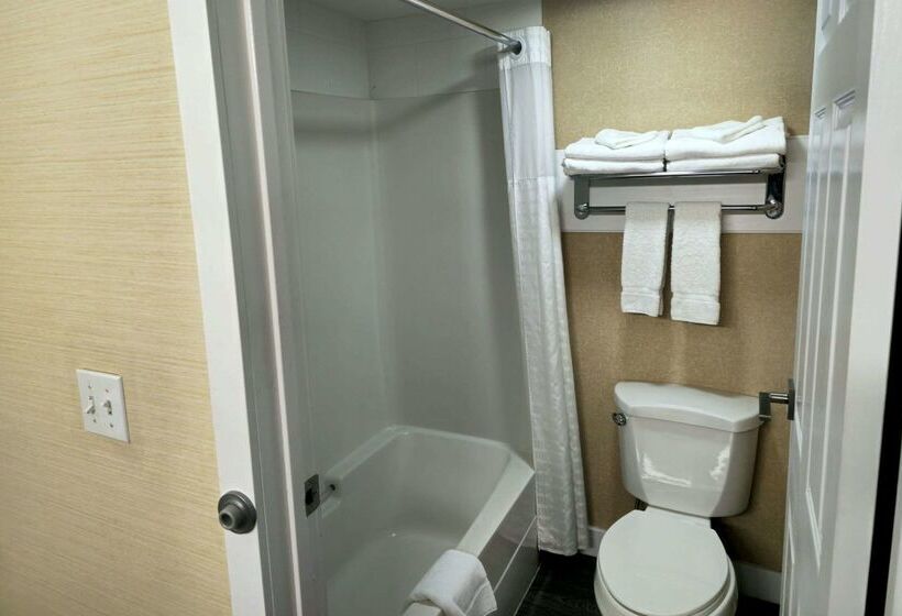 酒店 Rodeway Inn & Suites