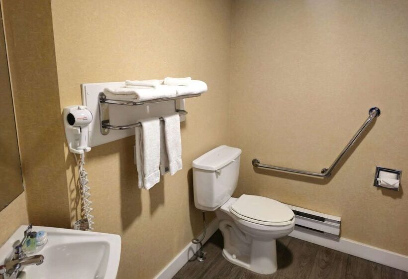 酒店 Rodeway Inn & Suites