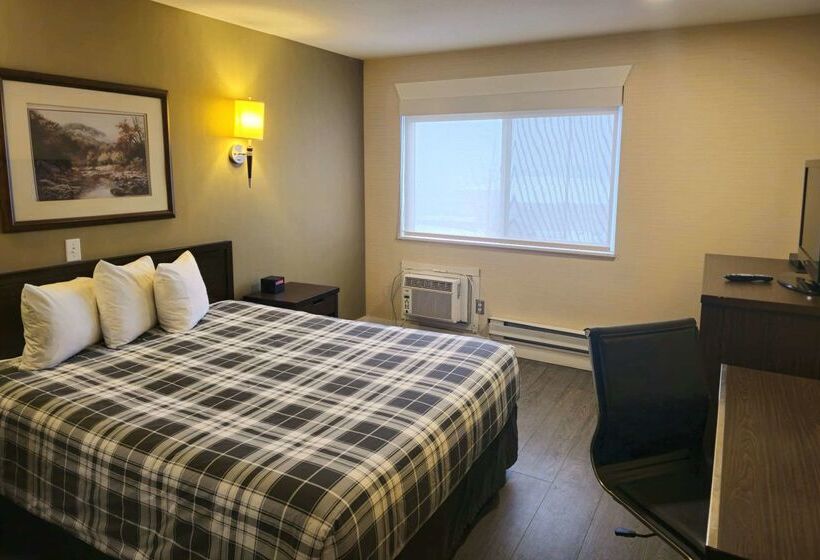 酒店 Rodeway Inn & Suites