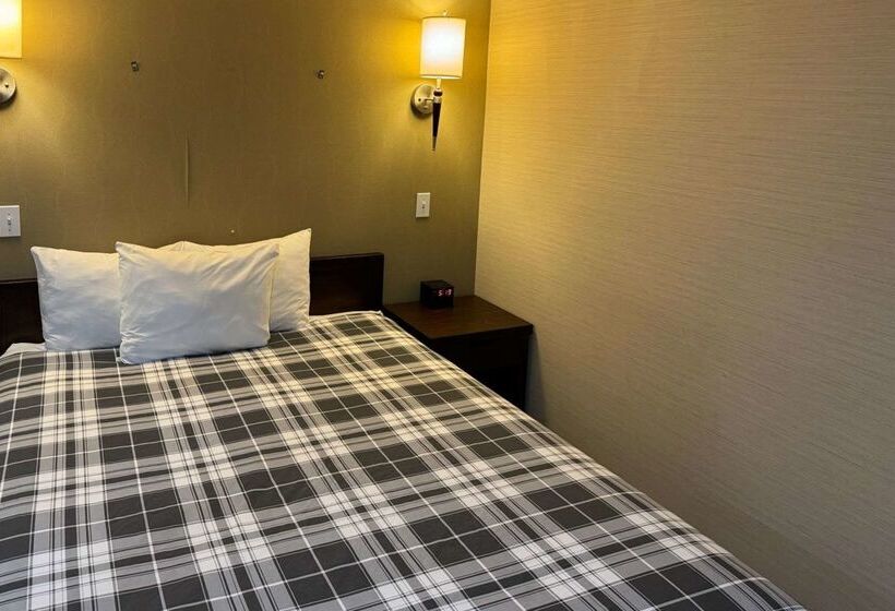 酒店 Rodeway Inn & Suites