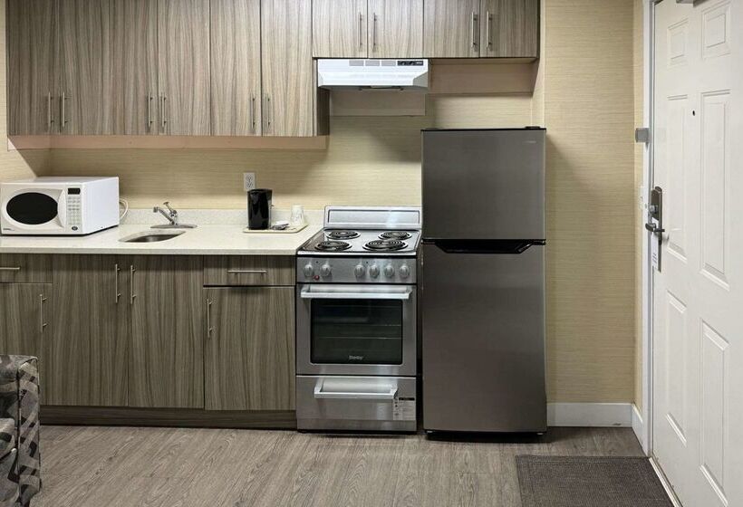 酒店 Rodeway Inn & Suites