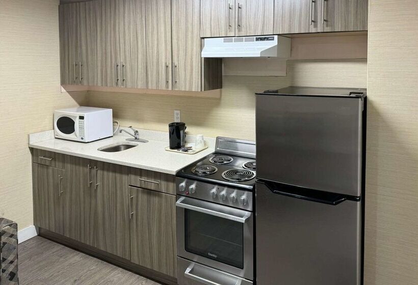 酒店 Rodeway Inn & Suites