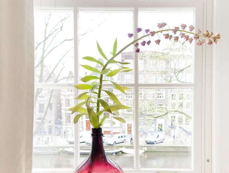 Hotel Rosalia S Menagerie Cocktail Bar & Innupstairs