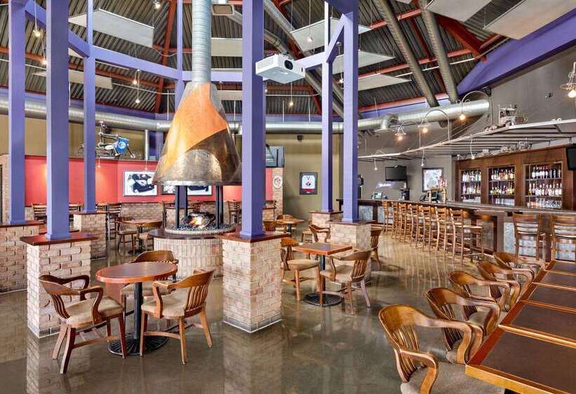 Royal Hotel Edmonton Airport Trademark Collection By Wyndham