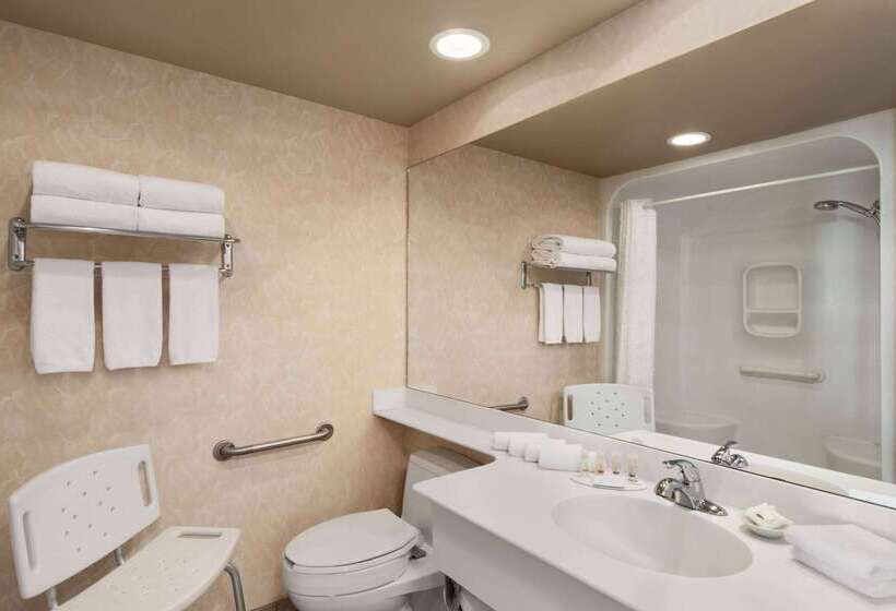 Royal Hotel Edmonton Airport Trademark Collection By Wyndham