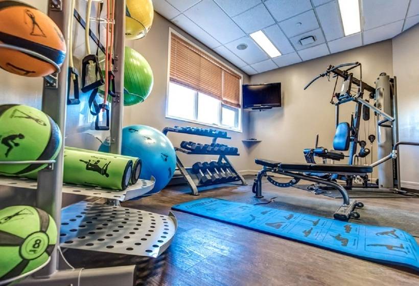 Royal Hotel Edmonton Airport Trademark Collection By Wyndham