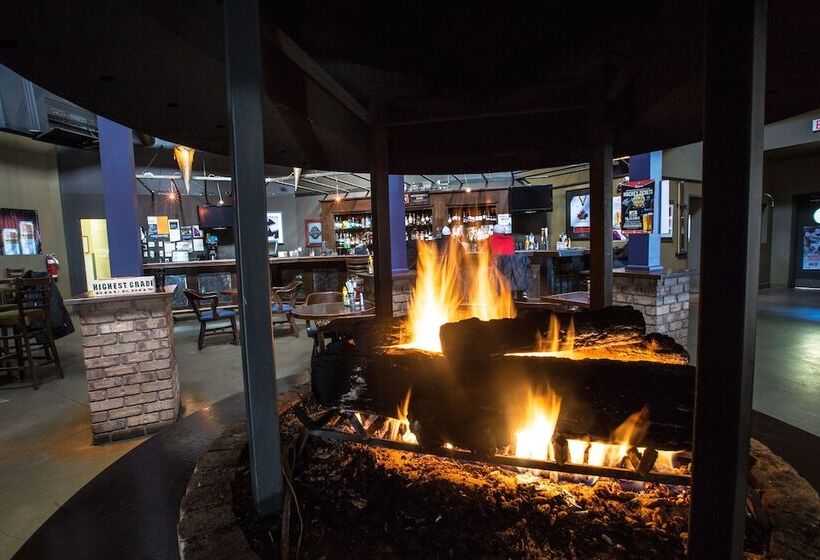 Royal Hotel Edmonton Airport Trademark Collection By Wyndham