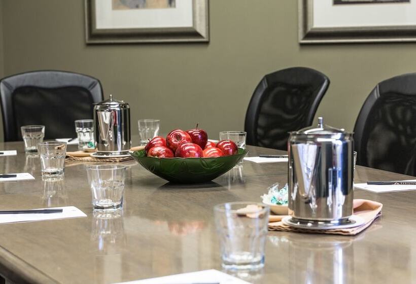 Royal Hotel Edmonton Airport Trademark Collection By Wyndham