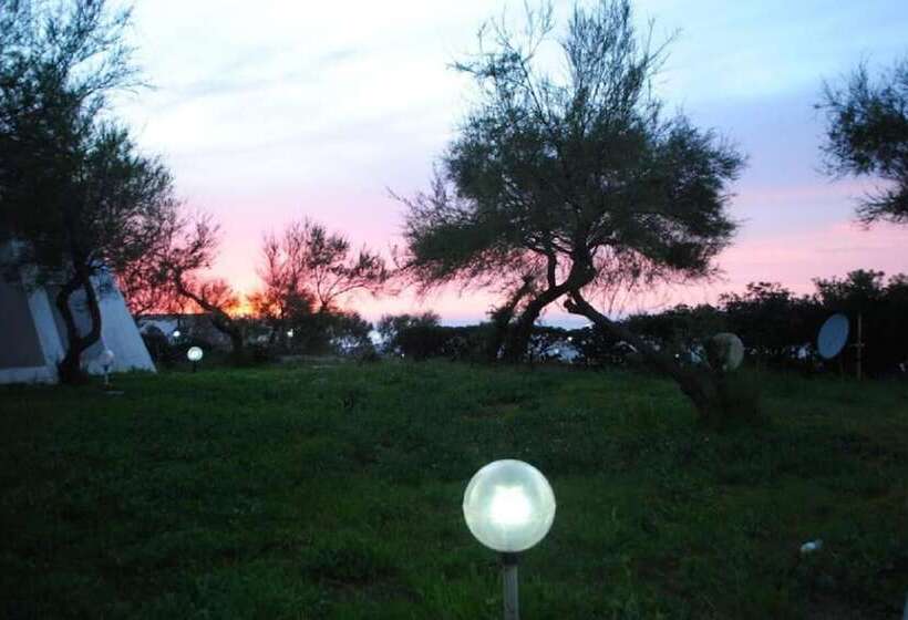 هتل Safir Mazafran