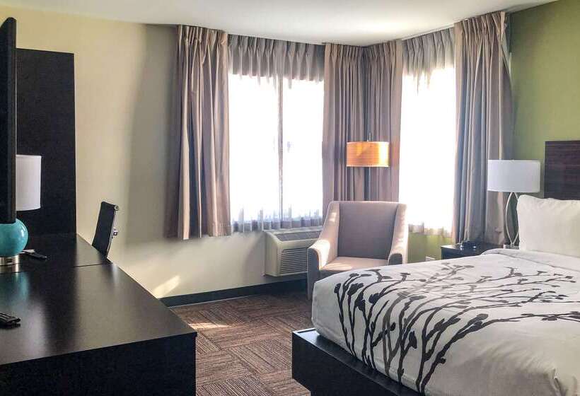 בית מלון כפרי Sleep Inn & Suites Quebec City East