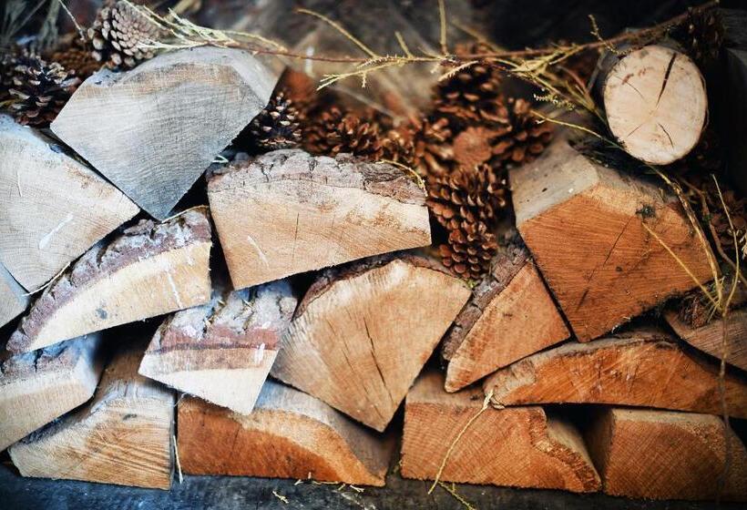 호텔 Stanton Manor