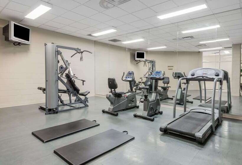 호텔 Super 8 By Wyndham Mississauga