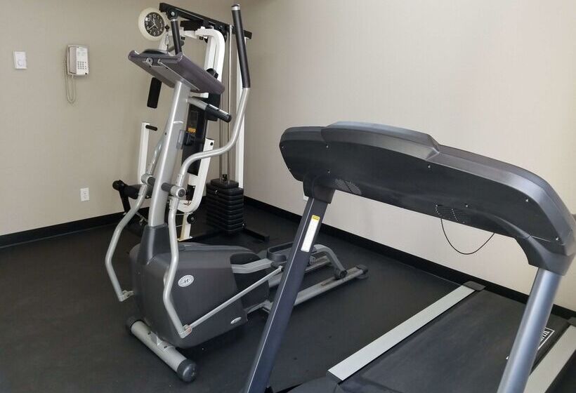 Surestay Plus Hotel By Best Western Lethbridge