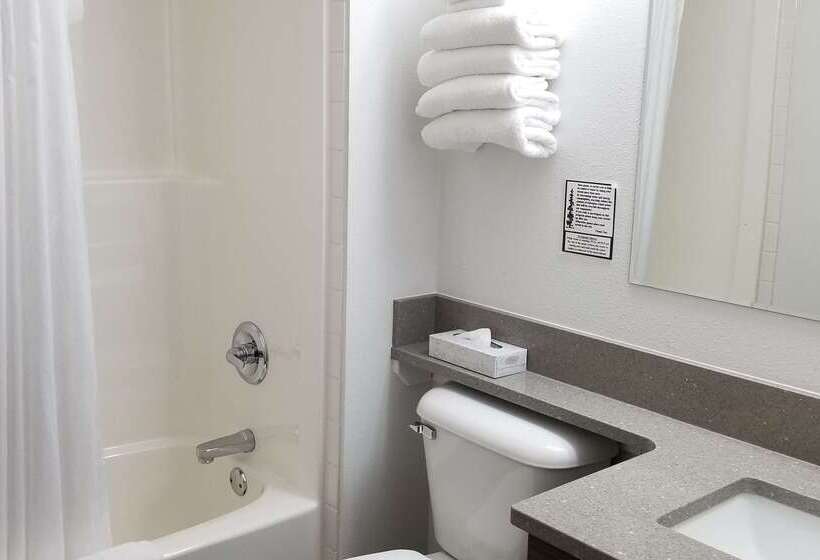 Surestay Plus Hotel By Best Western Lethbridge