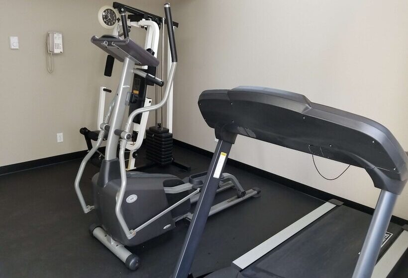 Surestay Plus Hotel By Best Western Lethbridge