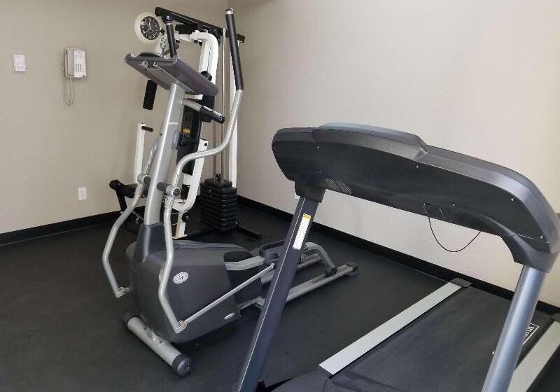 Surestay Plus Hotel By Best Western Lethbridge