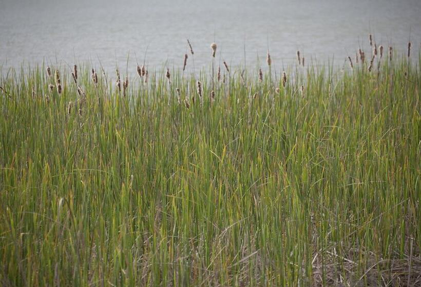 فندق Tenuta Casabianca