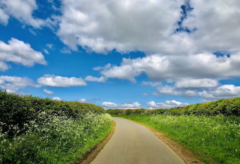 酒店 The Old Pheasant