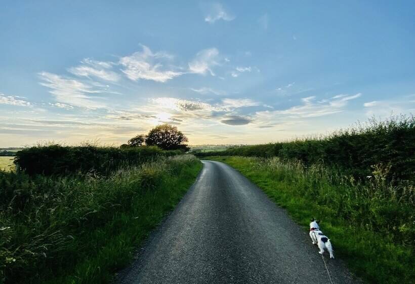 酒店 The Old Pheasant