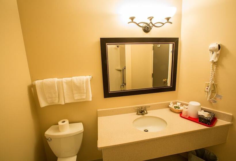 فندق The Village Inn