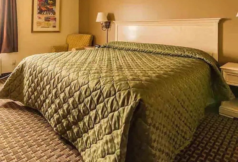 فندق The Village Inn