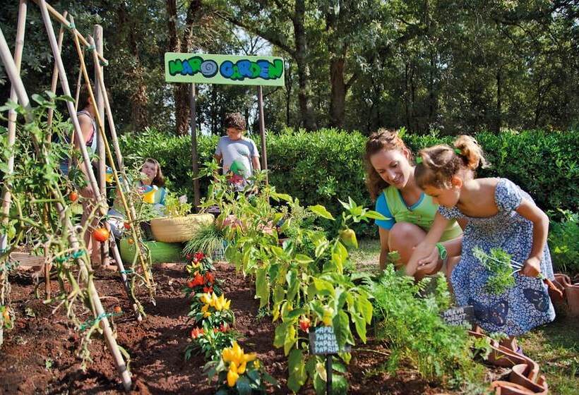 호텔 Valamar Parentino