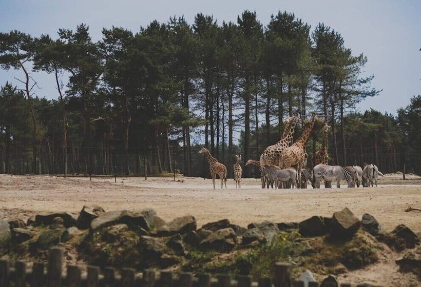 Van Der Valk Hotel  S Hertogenbosch – Vught