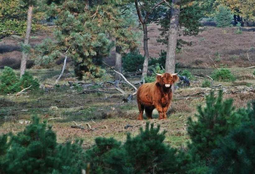 Van Der Valk Hotel De Molenhoek Nijmegen