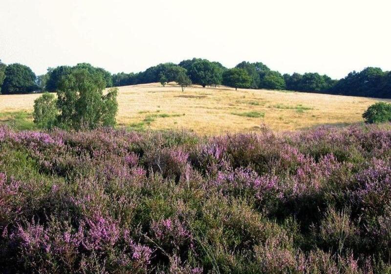 Van Der Valk Hotel De Molenhoek Nijmegen