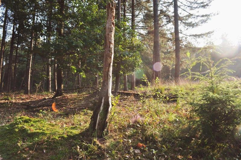 Van Der Valk Hotel De Molenhoek Nijmegen