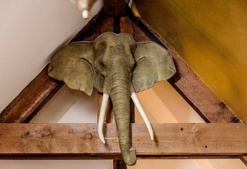 בית מלון כפרי Villa Beukenhof